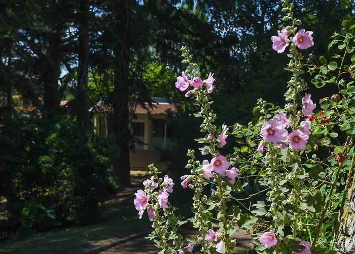 Logis La Chaumiere Saint-Laurent-sur-Sèvre